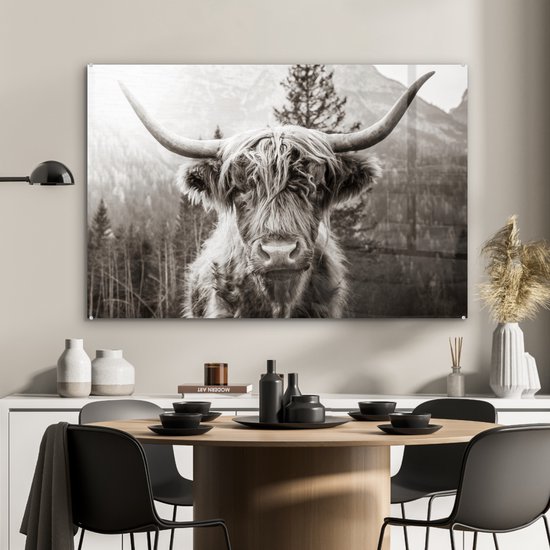 MuchoWow® Peinture sur Verre - Highlander écossais - Vache - Animaux - Zwart - Wit - 90x60 cm - Peintures sur Verre Acrylique - Photo sur Glas