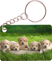 Sleutelhanger 6x4cm - Golden Retreiver Pups