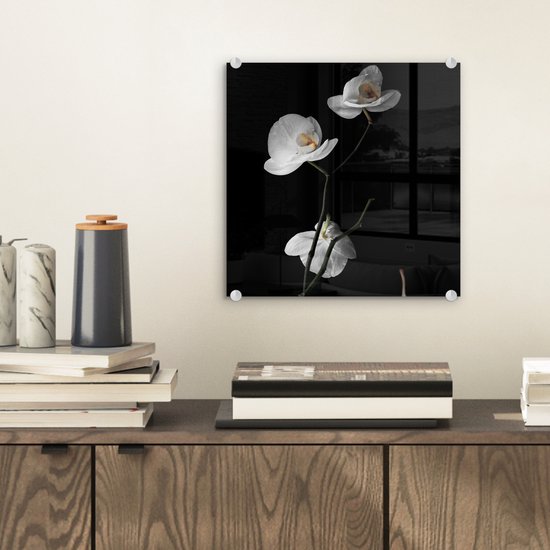MuchoWow® Peinture sur verre 20x20 cm - Peinture sur verre acrylique - Orchidée - Fleurs - Zwart - Wit - Nature morte - Photo sur verre - Peintures