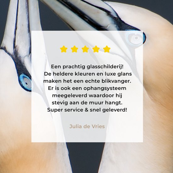 Couple de Fous de Bassan Plexiglas 90x90 cm - Tirage Photo sur Glas (Décoration murale Plexiglas)