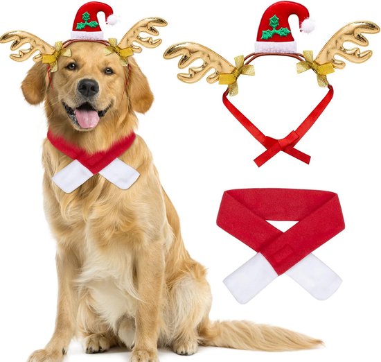 Costume de Noël 2 pièces pour chiens, rennes, bandeau et écharpe, ensemble  de tenues... | bol