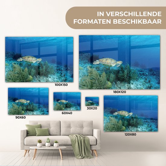 MuchoWow® Glasschilderij 30x20 cm - Schilderij acrylglas - Groene zeeschildpad op Bonaire - Foto op glas - Schilderijen