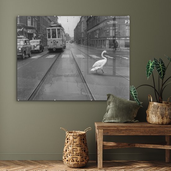 MuchoWow® Peinture sur verre 120x90 cm - Peinture sur verre acrylique - Traversée de cygne - Photo sur verre - Peintures