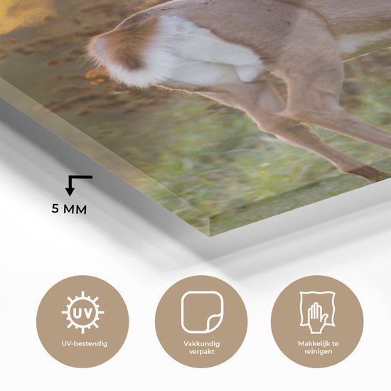 Peinture sur verre - Verre acrylique - Cerf - Bruyère - Nature - Coucher de soleil - Peinture sur verre - Photo sur verre - Décoration murale - 120x160 cm - Peinture sur verre animaux - Décoration murale