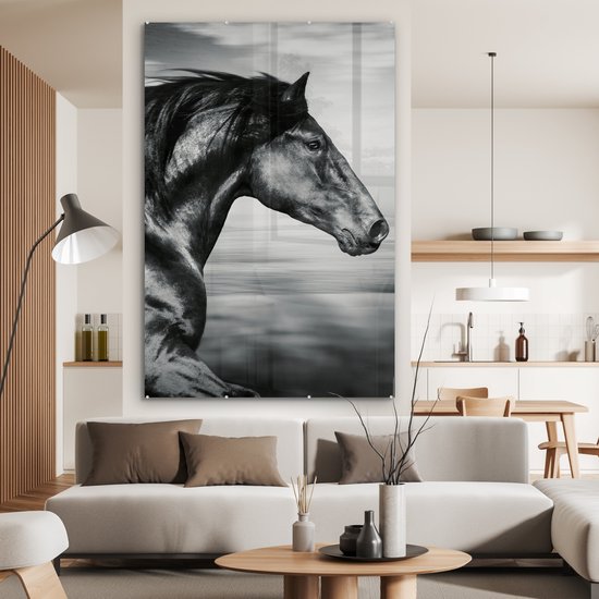 MuchoWow - Peinture sur verre - Photo sur verre - Verre acrylique - Animaux - Cheval - Nature - Zwart et blanc - Décoration murale - 120x180 cm - Peintures cheval - Tableaux salon