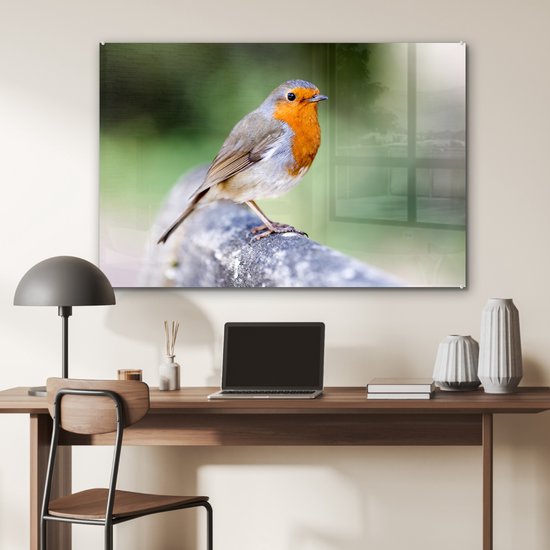 Robin sur une clôture en bois Plexiglas 120x80 cm - Tirage photo sur Glas (décoration murale en plexiglas)