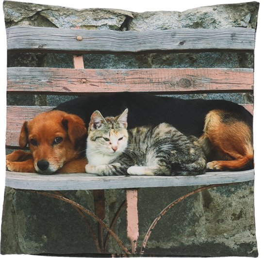 Buitenkussen boerderij kat & hond L 50 cm x 50 cm tuinkussen buitenkussen bol