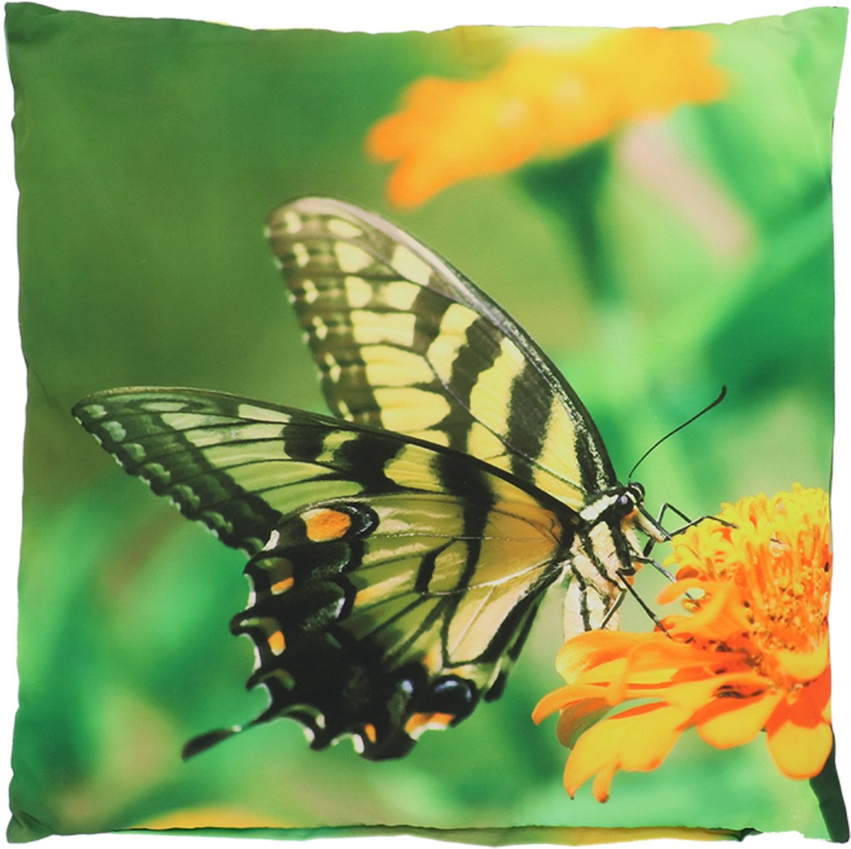 Buitenkussen vlinder koninginnenpage L 50 cm x 50 cm - tuinkussen - buitenkussen - outdoorkussen - waterafstotend - vlinderprint - cadeau - geschenk - Nieuwjaar - Kerst - verjaardag
