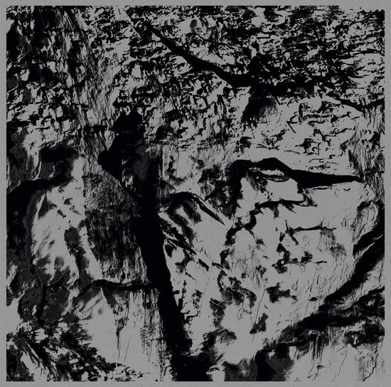 Light, Michel Comte | 9783958291195 | Boeken | bol