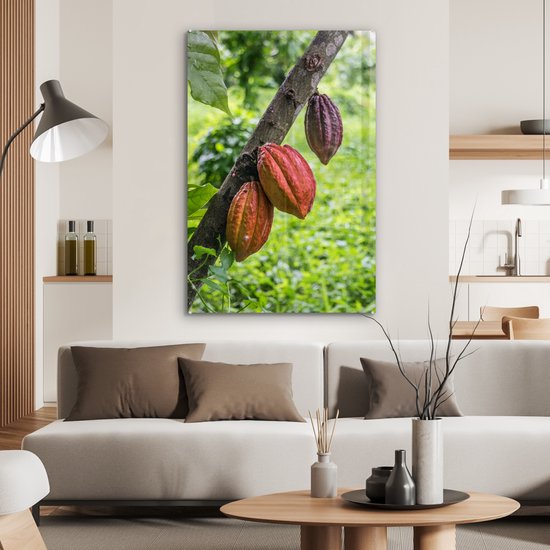 La jungle avec la fève de cacao dans les cabosses Plexiglas 60x90 cm - Tirage photo sur Glas (décoration murale plexiglas)