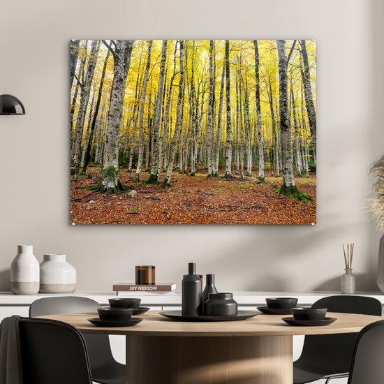 Feuilles jaunes dans la forêt en automne Glas 90x60 cm - Tirage photo sur Glas (Décoration murale en plexiglas)