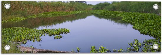 Tuinposter – Water - Boot - Hout - Gras - Planten - 60x20 cm Foto op Tuinposter (wanddecoratie voor buiten en binnen)