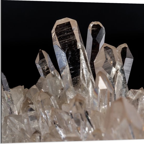 Dibond - Kristal - Doorzichtig - 80x80 cm Foto op Aluminium (Wanddecoratie van metaal)