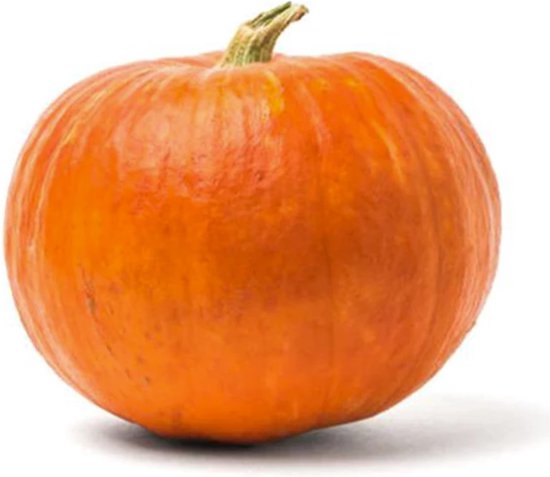 Echte Pompoen - Pompoen snijden - Uitsnijset - Halloween decoratie - Pompoen Carving - Jack-o'-lantern - 30 CM