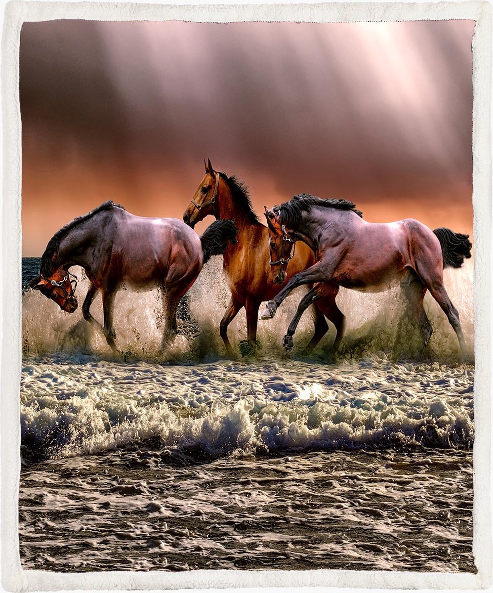 The Coloured House Paarden Fleece Deken 150*200cm Running Dark Horses Multicolor