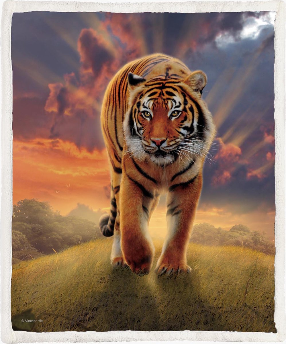 The Coloured House Tijger Fleece Deken 130*150cm Sunrise Tiger Multicolor