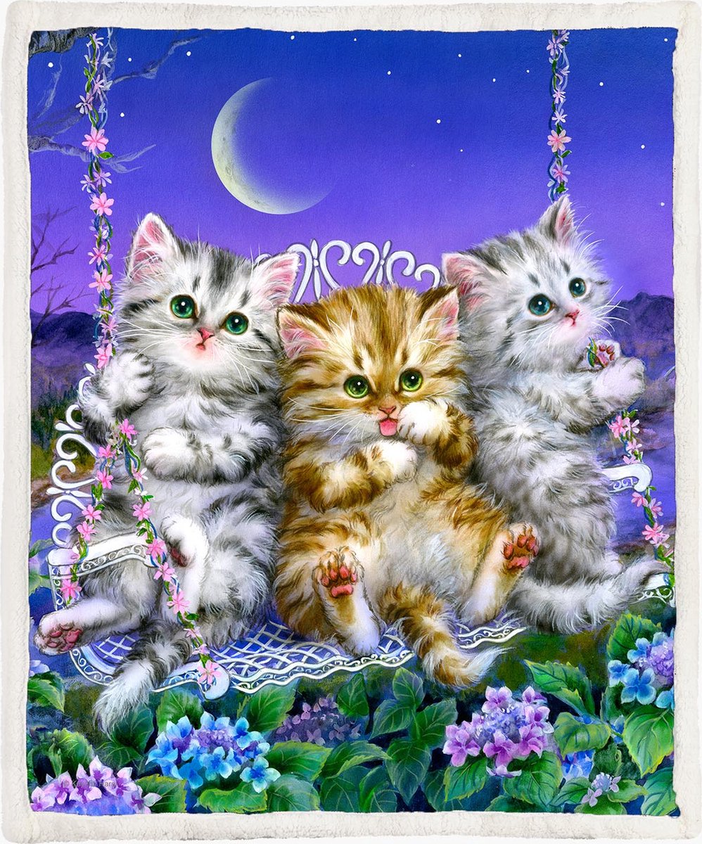 The Coloured House Katten Fleece Deken 130*150cm Moonlight Swing Multicolor