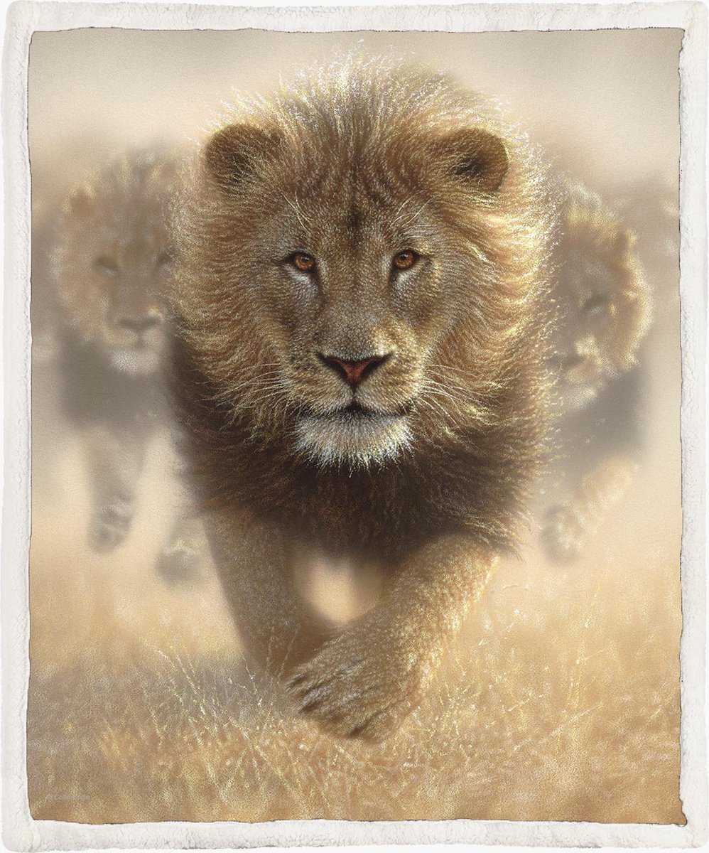 The Coloured House Leeuw Fleece Deken 150*200cm Eat My Dust Multicolor