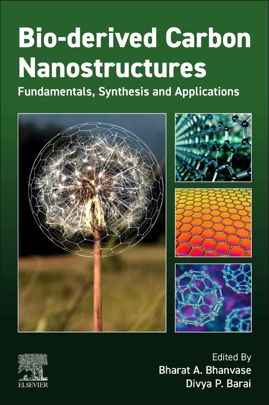 Bio-derived Carbon Nanostructures: Fundamentals, Synthesis a ... - cover