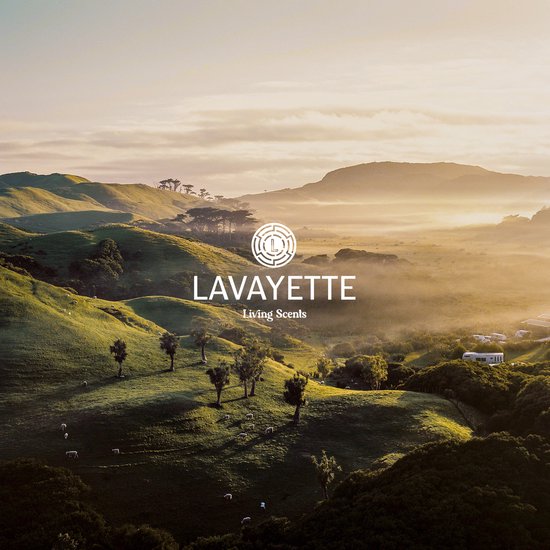 Boules de séchage Lavayette XL - Boules de séchage - Boules de séchage - Boule de lavage - 100 % laine de mouton de Nouvelle-Zélande - Respectueux de Environnement- et des animaux - 6 pièces