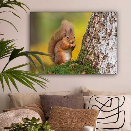 Tableau sur toile Écureuil roux à côté de l'arbre - 80x60 cm - Décoration murale