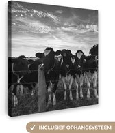 Tableau Peinture Vaches - Ferme - Animaux - Zwart - Wit - 50x50 cm - Décoration murale