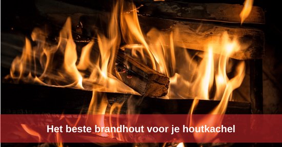 Aanmaakhout ovengedroogd in doos à 20 kg kachel pizzaoven vuurschaal plancha kampvuur