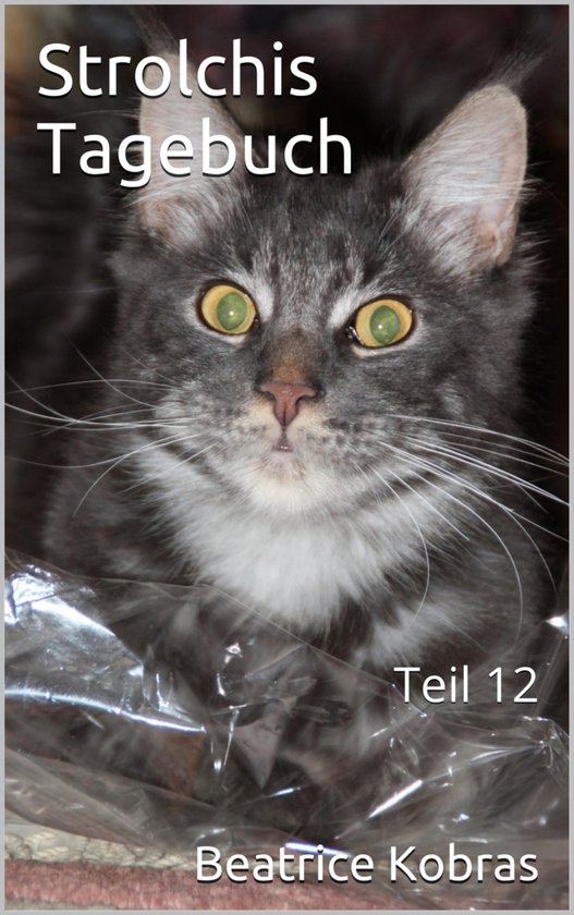 Strolchis Tagebuch Teil 12 ebook Beatrice Kobras 9783755455202 strolchis-tagebuch-teil-12-ebook-beatrice-kobras-9783755455202