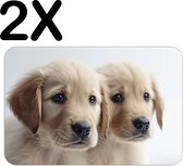 BWK Stevige Placemat - Twee Golden Retriever Puppies - Set van 2 Placemats - 45x30 cm - 1 mm dik Polystyreen - Afneembaar
