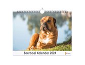 XL 2024 Kalender - Jaarkalender - Boerboel