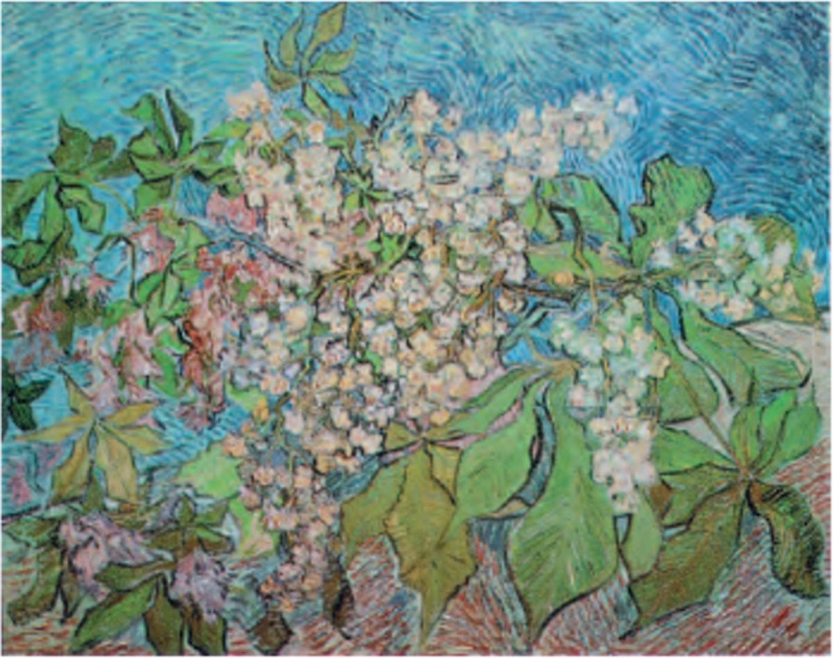 Catch Projecten Vincent van Gogh - Kastanjebloesem - Kunstposter - 60x80 cm Multicolor