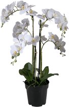 Viv! Home Luxuries Orchidee in pot - zijden bloem - wit - 65cm