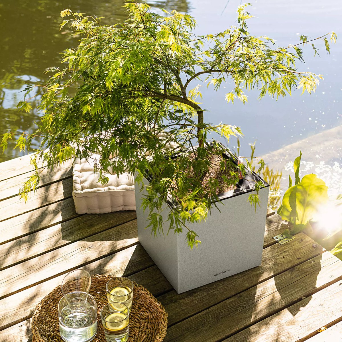 Lechuza Canto Stone 30 high LED - Planter