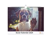 XL 2024 Kalender - Jaarkalender - Boxer