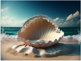 Poster Glanzend – Schelp - Zee - Strand - 40x30 cm Foto op Posterpapier met Glanzende Afwerking