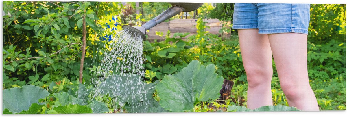 Vlag - Tuin - Bloemen - Planten - Gieter - Water - Groen - 90x30 cm Foto op Polyester Vlag
