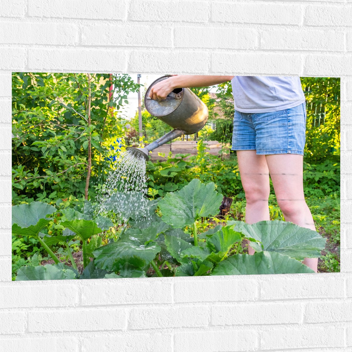 Muursticker - Tuin - Bloemen - Planten - Gieter - Water - Groen - 90x60 cm Foto op Muursti