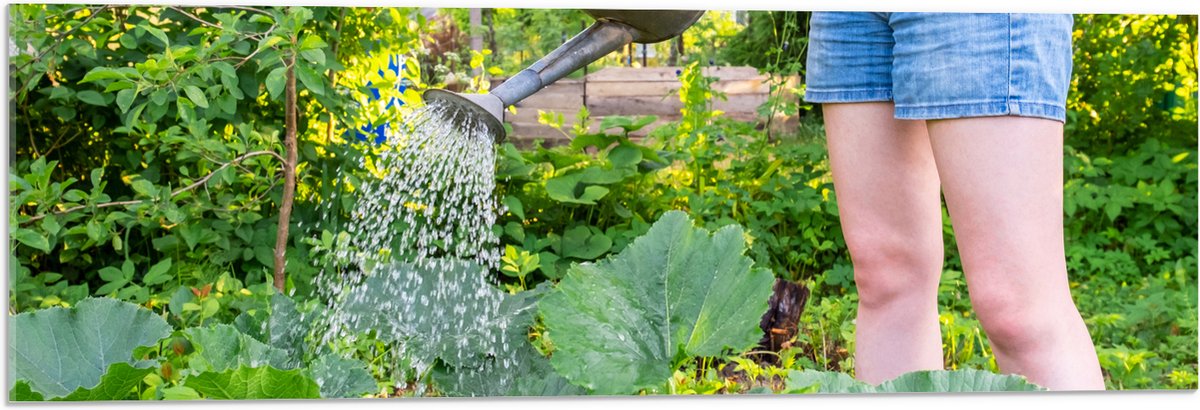 Acrylglas - Tuin - Bloemen - Planten - Gieter - Water - Groen - 90x30 cm Foto op Acrylglas