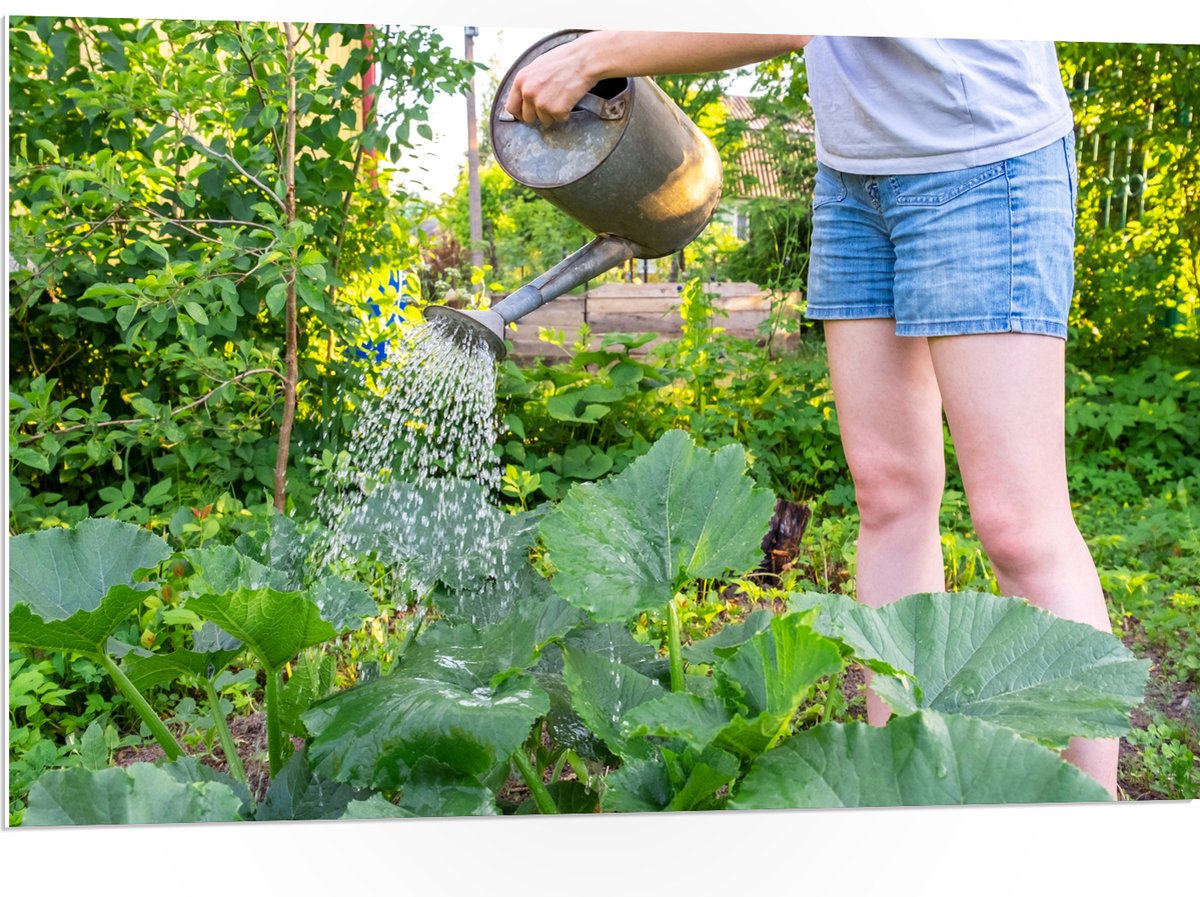 PVC Schuimplaat - Tuin - Bloemen - Planten - Gieter - Water - Groen - 105x70 cm Foto op PV