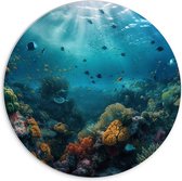 PVC Schuimplaat Muurcirkel - Oceaan - Zee - Dieren - Vissen - Koraal - Kleuren - 70x70 cm Foto op Muurcirkel (met ophangsysteem)