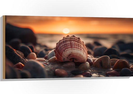 Hout - Schelp - Zee - Stenen - Zonsondergang - 100x50 cm - 9 mm dik - Foto op Hout (Met Ophangsysteem)