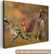 Canvas Schilderij Rode eekhoorn in de herfst - 40x30 cm - Wanddecoratie