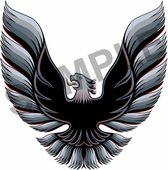 1978-1981 motorkap sticker Pontiac Firebird Transam replika Zilver look