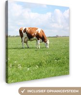 Vache brun-blanc dans la prairie Toile 50x50 cm - Tirage photo sur toile (Décoration murale salon / chambre) / Peintures sur toile Animaux