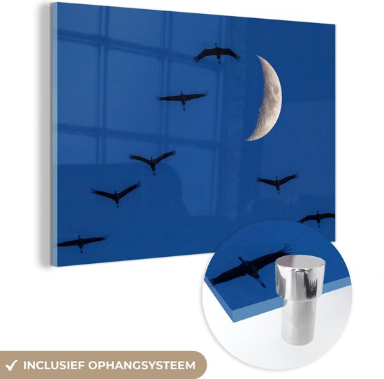 MuchoWow® Glasschilderij 60x40 cm - Schilderij acrylglas - Europese kraanvogels die voor de maan vliegen - Foto op glas - Schilderijen