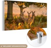 MuchoWow® Glasschilderij 160x80 cm - Schilderij acrylglas - Bosdieren - Herten - Licht - Foto op glas - Schilderijen