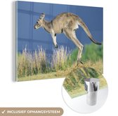 MuchoWow® Glasschilderij 90x60 cm - Schilderij acrylglas - Kangoeroe - Dier - Natuur - Foto op glas - Schilderijen