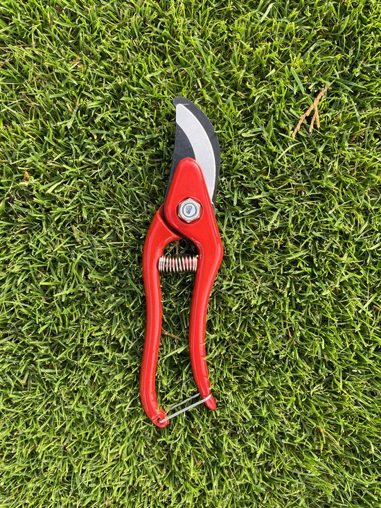 Talen Tools - Snoeischaar - Rood van Merkloos	 — afbeelding 2