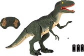 RC Velociraptor fait du son et illumine les yeux - Dino crache de Water - Dinosaurus radiocommandé - Avec piles
