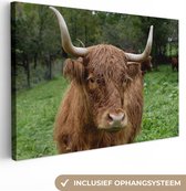 Scottish Highlander après une averse de pluie toile 2cm 140x90 cm - Tirage photo sur toile (Décoration murale salon / chambre) / Animaux sauvages Peintures sur toile